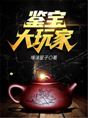 鉴宝大玩家范青阳TXT下载