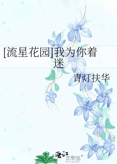 流星花园之我为你着迷