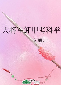 《大将军卸甲考科举》作者:文理风