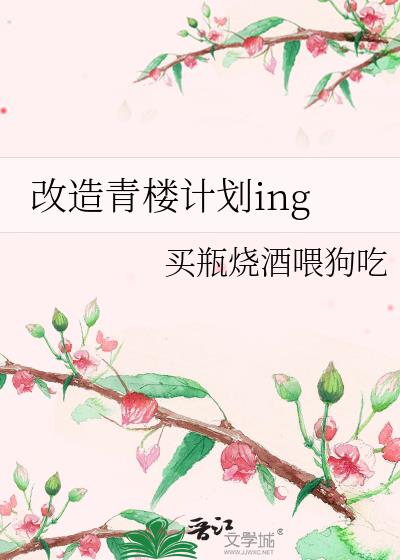 改造青楼计划ing