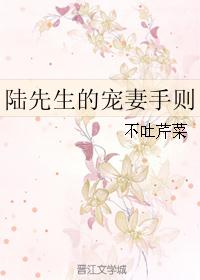 陆先生宠妻无限