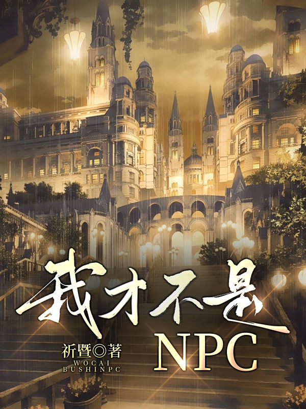 我才不是NPC