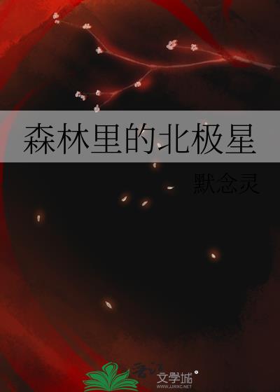 北极星在哪边儿?