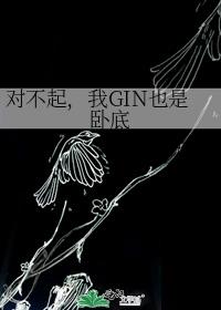 我gin也是卧底阅读体