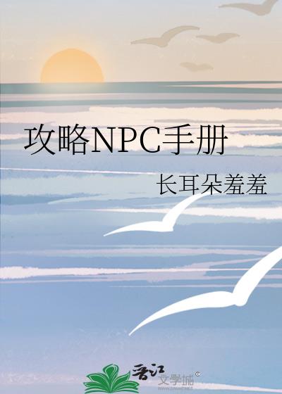 攻略男npc游戏