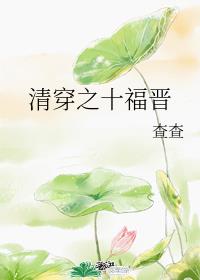 《清穿之十福晋》