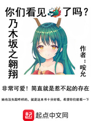 乃木坂是什么含义