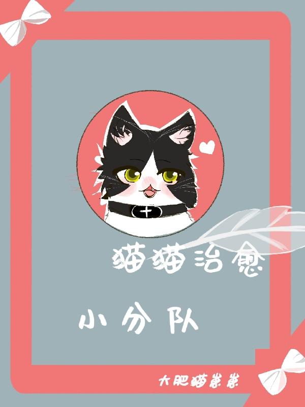 猫猫治愈人心