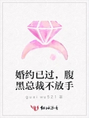 婚情不负:腹黑总裁恋逃妻 小说