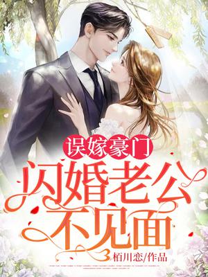 闪婚老公不见面全文阅读