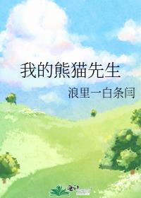 我的熊猫师傅